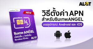 วิธีตั้งค่า APN ซิมเทพ Angel